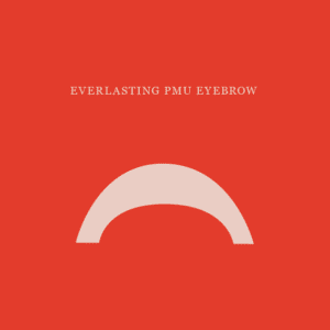 everlasting pmu eyebrow course